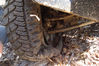 DSC02687.JPG