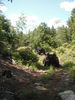 DSCF2035.JPG