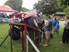 IMG_3140-w800-h800.JPG